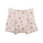 Wacoal KIDS / Wacoal Kids Waninal Kids мужчина . боксеры (CPS580)