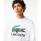 ショッピングラコステ LACOSTE / ラコステ 裏パイル エッセンシャルアイコングラフィッククルーネックスウェット トレーナー