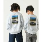 and D.petitmain / アンドディー. プティマイン 【親子リンク】乗り物プリントワイドスウェット