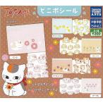 �ĖڗF�l�� �r�j�|�V�[�� �S5��Z�b�g