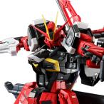 RG 1/144 ソードインパルスガンダムSpecII