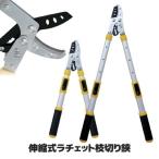  обрезка . эластичный тип храповик ветка порез .. ножницы для обрезки зажим ветка порез aluminium сплав производства фтор обработка лезвие садоводство сопутствующие товары садоводство двор бесплатная доставка 