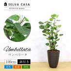 フェイクグリーン 中型 約100cm 人工観葉植物 光触媒加工 造花 ウンベラータ 鉢付き 消臭 抗菌 インテリアグリーン 送料無料 ※ご注文後7日前後発送