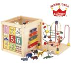 Ed.Inter エド・インター  森のあそび箱 ルーピング ビーズコースター 型はめ おもちゃ 知育玩具 あそび道具 男の子 女の子 出産祝