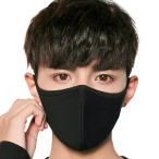 マスク 洗える 布 立体 大きめ マスクフィルター 黒 ブラック 布マスク 大人 抗菌 メンズ レディース 耳が痛くならない 粉塵 花粉 ウイルス飛沫 y1