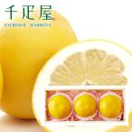 千疋屋 ギフト ぽめろまん3個入 京橋千疋屋