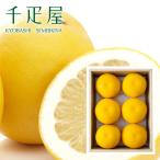 ショッピング文旦 千疋屋 ギフト ぽめろまん6個入 京橋千疋屋