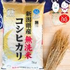 ショッピング無洗米 お米 BG無洗米 5kg 新潟県産コシヒカリ 令和5年産