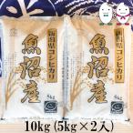 お米 10kg(5kg×2） 新潟県魚沼産コシヒカリ 令和4年産