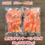 サーモン 無塩 トラウトサーモン 切り身 50g×20切 1kg
