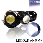 LEDスポットライト デイライト 5W相当 爆光 大玉 2個セット 送料無料[M