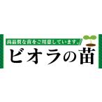 横断幕　横幕　ビオラの苗