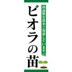 のぼり　のぼり旗　ビオラの苗