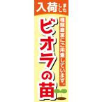 のぼり　のぼり旗　入荷しました　ビオラの苗