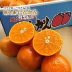  Кагосима производство магазин . остров ....5k 3L~M размер до Кагосима магазин . остров .... магазин . остров Special производство .. зима ограничение местного производства фрукты высота сахар раз .. Nankoku плоды прямая поставка 