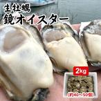 ショッピング牡蠣 生食用 熊本産【産地直送】鏡オイスター【40~50個入り-2kg】【今が旬】お歳暮 期間限定 お取り寄せ 焼き牡蠣 かき カキ 生カキ