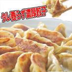 タレ要らず餃子 120個入 冷凍餃子 【送料無料 国産豚 国産野菜 玉名 熊本 餃子 ぎょうざ ギョーザ 玉名食品】