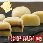 いきなり団子 芋まんじゅう　計10個入 熊本 藤ひろ菓舗 【送料無料 いきなり団子 お取り寄せ 地元 和菓子 人気 いも饅頭 地元で人気 お土産 手作り】