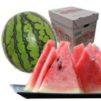 熊本産スイカ 肥後浪漫スイカ1玉(2L・3Lサイズ)(1玉約6~8kg) 送料無料 熊本 スイカ 果物ギフト ご贈答用 夏ギフト お祝い ご家庭用
