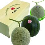 熊本産 アールスメロン 肥後グリーンメロン 黒小玉スイカ詰め合わせ 送料無料 夏ギフト 旬の果物 ギ ...