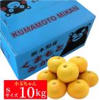 熊本産　みかん10kgsサイズ 小玉ちゃん 送料無料 果物ギフト ギフト・ご贈答用 ご家庭用 みかん