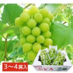 ܡʡʬ㥤ޥå3˼4˼ ̵ £ʪ ե ƥե  £ 渵 ץ쥼 ʤ֤ɤ