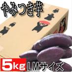 熊本産 紅はるか丸形 LまたはM サイズ 5k 蜜芋 送料無料 ご家庭用 お歳暮 熊本 大津 さつまいも