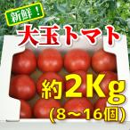 大玉トマト「ちっちゃな太陽」（約2Kg）