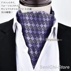  бизнес пластрон галстук ходить на работу День почитания пожилых людей свадьба шарф джентльмен Ascot шарф мужской 2 следующий . устройство на работу деятельность новый жизнь общий рисунок вечеринка . индустрия 