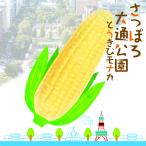 長沼あいす さっぽろ大通公園とうきびモナカ 1本 アイスモナカ 日高昆布醤油使用 北海道産生乳100%使用 焼きとうきび風味