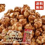 花畑牧場 生キャラメルプレミアムポップコーン 生キャラメル 100g 送料無料 送料込 北海道産 お菓子 おやつ 手造り リッチ お土産