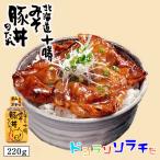 ソラチ 北海道 十勝 みそ豚丼のたれ 210g 北海道 タレ 豚丼 丼 万能 BBQ 人気 お土産 手土産 贈り物 ギフト バレンタイン