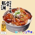 ソラチ 北海道 十勝 みそ豚丼のたれ 210g 2個セット 送料無料 送料込 北海道 タレ 豚丼 丼 万能 BBQ 人気 お土産 手土産 贈り物 ギフト