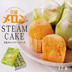 .. melon steam cake 12 piece insertion .. melon use free shipping postage included Hokkaido . earth production sweets gift present present 