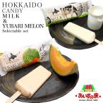 長沼あいす 北海道キャンディ ミルクor夕張メロン 1本入 選べる5個セット 送料無料 送料込み アイスキャンディ 北海道産生乳100%使用 ミルク味 夕張メロン味