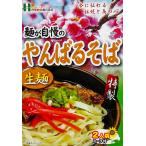 沖縄お土産 麺が自慢のやんばるそば 2人前 沖縄 お土産 土産 グルメ 沖縄土産 プレゼント ギフト そば 沖縄そば