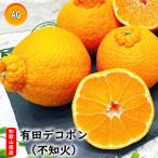 ショッピングデコポン デコポン 有田 不知火 送料無料 3kg 和歌山県産 有田 デコポン 秀品 約3kg 化粧箱入 サイズ指定不可 贈答用 送料無料 デコポン お試し 爆買