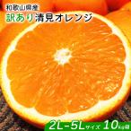清見 訳あり 大玉 オレンジ 10kg箱 送料無料 和歌山県産 清見 オレンジ 2L-5Lサイズ 約10Kg 傷有り 清見タンゴール きよみ 爆買