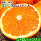 清見 訳あり 小玉 オレンジ 10kg箱 送料無料 和歌山県産 清見 オレンジ S-2Lサイズ 約10Kg 傷有り 清見タンゴール きよみ 爆買