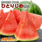 su.. арбуз Kumamoto сон большой земля ..... запад . превосходящий товар M размер 1 шар 1kg свет сахар раз сенсор инспекция settled сахар раз гарантия бесплатная доставка маленький шар запад . подарок на Bon Festival подарок .. для 