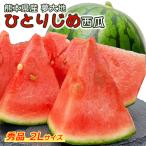 su.. арбуз Kumamoto сон большой земля ..... запад . превосходящий товар 2L размер 1 шар 2kg свет сахар раз сенсор инспекция settled сахар раз гарантия бесплатная доставка маленький шар запад . подарок на Bon Festival подарок 