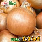 TV. специальный выпуск осуществлен ... шар лук порей 3kg шар лук порей Awaji Island есть перевод Hyogo префектура производство Awaji Island. шар лук порей S~2L размер примерно 3kg... шар лук порей .... шар лук порей лук репчатый . покупка 