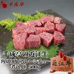 牛肉 肉 和牛 近江牛 角切り肉 カレー・シチュー 煮込用 500ｇ 御祝 内祝 ギフト プレゼント