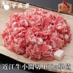 ショッピング牛肉 牛肉 肉 焼肉 和牛 「近江牛 小間切 100g単位」 御祝 内祝 ギフト プレゼント
