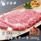 牛肉 肉 焼肉 和牛 「