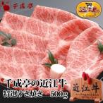 ショッピング牛肉 牛肉 肉 和牛 「近江牛 特撰すき焼き 500g」 御祝 内祝 ギフト プレゼント　母の日