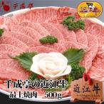 牛肉 肉 焼肉 和牛 「近江牛 最上焼肉 500g」 御祝 内祝 ギフト プレゼント　母の日