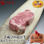 牛肉 肉 焼肉 和牛 近江牛サーロイ