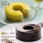 とろなまバウムクーヘン とろなま2種セット (チョコ・レモンレアチーズ) バウムクーヘン せんねんの木 バームクーヘン ケーキ 食べ比べ
