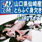 to........ нет .1.7kg размер рефрижератор высушенный .. имеется [ Yamaguchi префектура производство . мыс ..]